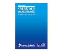 Blauer_Ratgeber_Bauchspeicheldruese_Teaser.jpg